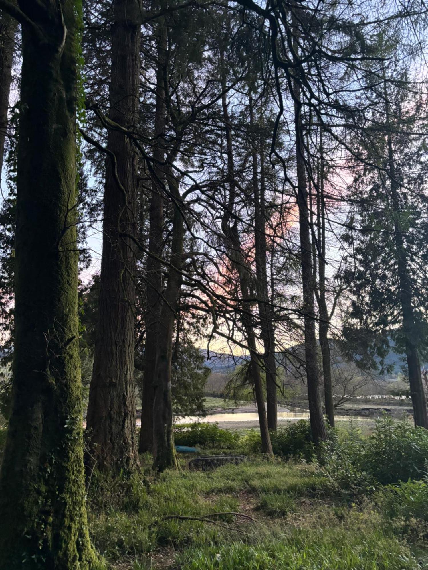 North Lodge Kilmun Экстерьер фото